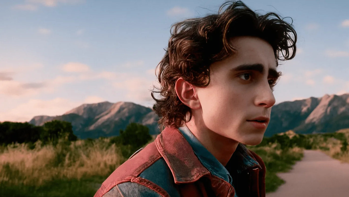 Timothee Chalamet in Back to the Future